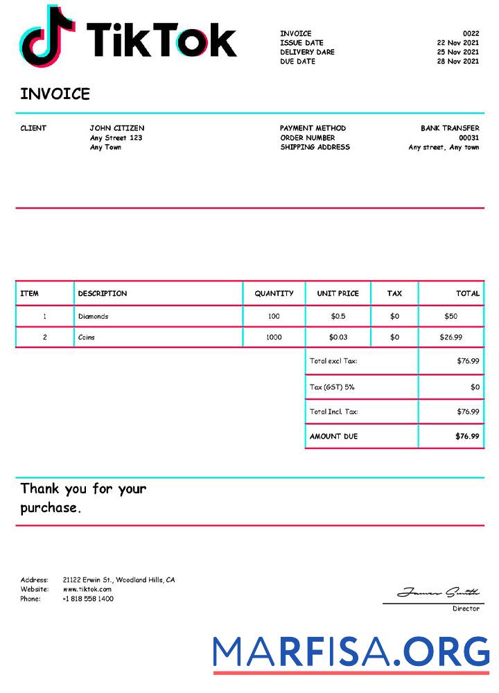 Printable USA Tik Tok invoice real example
